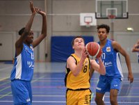 JBBL Basketball 23/24 SV03 Tuebingen Young Tigers  - Rhein-Neckar Metropolitans