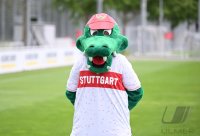 Fussball 1. Bundesliga 2023/2024: Fototermin beim VfB Stuttgart