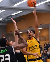 Basketball 1. Regionalliga 22/23 SV 03 Tigers Tuebingen -  Saarlouis Royals Basketball