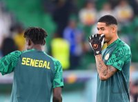 FUSSBALL WM 2022 Vorrunde: Senegal - Niederlande