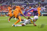 FUSSBALL WM 2022 Vorrunde: Senegal - Niederlande