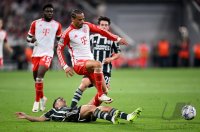 Fussball International CHL 23/24: FC Bayern Muenchen - Manchester United FC