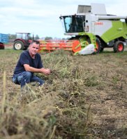 Neustetten (Kreis Tuebingen): Bio Landwirt Braun mit einem Anbauversuch von Kichererbse