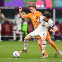 FUSSBALL WM 2022 Achtelfinale: Niederlande - USA