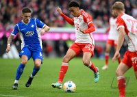 Fussball 1. Bundesliga 23/24: FC Bayern Muenchen - SV Darmstadt 98