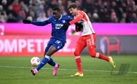 Fussball 1. Bundesliga 23/24: FC Bayern Muenchen - TSG 1899 Hoffenheim