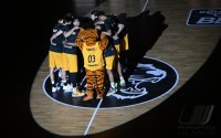 Basketball 1. Bundesliga 23/24: Tigers Tuebingen - Alba Berlin