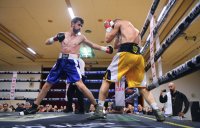 Boxen: Fight in Tuebingen in der Hepperhalle