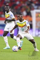 FUSSBALL WM 2022 Vorrunde: Senegal - Niederlande