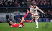 Fussball International CHL 24/25: FC Bayern Muenchen - Benfica Lissabon