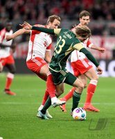 Fussball 1. Bundesliga 23/24: FC Bayern Muenchen - 1. FC Union Berlin