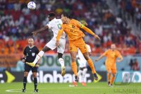 FUSSBALL WM 2022 Vorrunde: Senegal - Niederlande