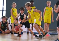 Basketball AOK Grundschul Cup bei den Tigers Tuebingen