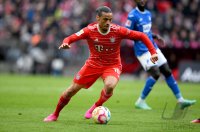 Fussball 1. Bundesliga 22/23: FC Bayern Muenchen - TSG 1899 Hoffenheim