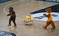 Basketball 1. Bundesliga 23/24: Tigers Tuebingen - FC Bayern Muenchen Basketball