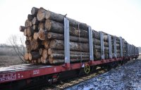 Schmuckbild, Wetterbild: Stammholz auf einem Gueterzug