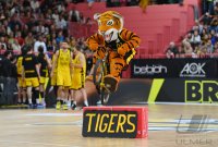 Basketball 2. Liga 22/23 Playoff Halbfinale: Tigers Tuebingen - PS Karlsruhe Lions