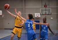 JBBL Basketball 23/24 SV03 Tuebingen Young Tigers  - Rhein-Neckar Metropolitans