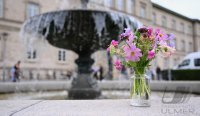 Wetterbild / Schmuckbild; Sommerblumen / Wiesenblumenstrauss