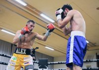 Boxen: Fight in Tuebingen in der Hepperhalle