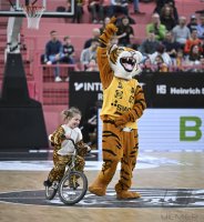 Basketball 2. Bundesliga 24/25: Tigers Tuebingen - Phoenix Hagen