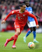 Fussball 1. Bundesliga 22/23: FC Bayern Muenchen - TSG 1899 Hoffenheim