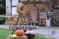 Schmuckbild Herbstmarkt