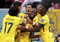 FUSSBALL WM 2022 Eroeffnungsspiel: Katar - Ecuador