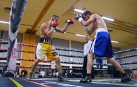 Boxen: Fight in Tuebingen in der Hepperhalle