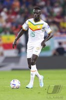 FUSSBALL WM 2022 Vorrunde: Senegal - Niederlande