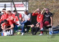 Fussball WFV Pokal 1. Runde 2023/2024: Spfr. Gechingen - TSG Balingen