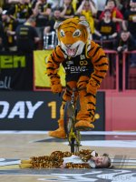 Basketball 2. Liga 22/23 Playoff Viertelfinale: Tigers Tuebingen - Eisbaeren Bremerhaven