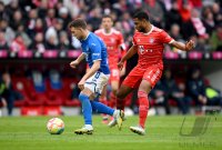 Fussball 1. Bundesliga 22/23: FC Bayern Muenchen - TSG 1899 Hoffenheim