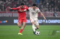 Fussball International CHL 24/25: FC Bayern Muenchen - Benfica Lissabon