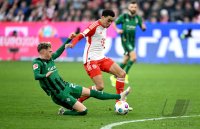 Fussball 1. Bundesliga 23/24: FC Bayern Muenchen - Borussia Moenchengladbach