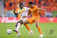 FUSSBALL WM 2022 Vorrunde: Senegal - Niederlande