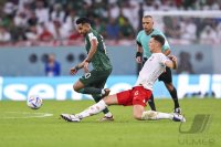 FUSSBALL WM 2022 Vorrunde: Polen - Saudi-Arabien