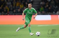 FUSSBALL Champions League Qualifikation 23/24: BSC Young Boys Bern - Maccabi Haifa