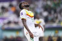 FUSSBALL WM 2022 Vorrunde: Senegal - Niederlande