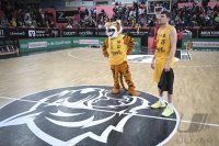 Basketball 2. Bundesliga 24/25: Tigers Tuebingen - VfL SparkassenStars Bochum