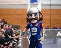 Handball 2. Bundesliga 22/23: HBW Balingen/Weilstetten -  Dessau-Rosslauer HV 06