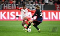 Fussball International CHL 23/24: FC Bayern Muenchen - FC Kopenhagen