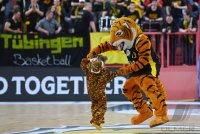 Basketball 2. Liga 22/23 Playoff Viertelfinale: Tigers Tuebingen - Eisbaeren Bremerhaven