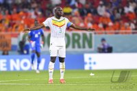 FUSSBALL WM 2022 Vorrunde: Senegal - Niederlande