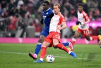 Fussball 1. Bundesliga 23/24: FC Bayern Muenchen - TSG 1899 Hoffenheim