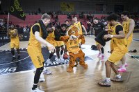 Basketball 2. Bundesliga 24/25: Tigers Tuebingen - Giessen 46ers