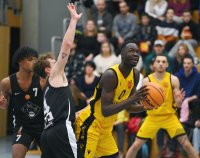 Basketball 1. Regionalliga 2022/2023 SV 03 Tigers Tuebingen - TSG Reutlingen