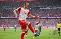 Fussball 1. Bundesliga 23/24: FC Bayern Muenchen - FC Augsburg