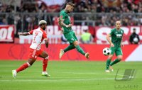 Fussball 1. Bundesliga 23/24: FC Bayern Muenchen - FC Augsburg