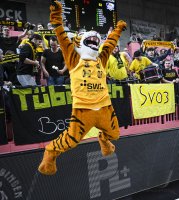 Basketball 2. Bundesliga 24/25: Tigers Tuebingen - VfL SparkassenStars Bochum